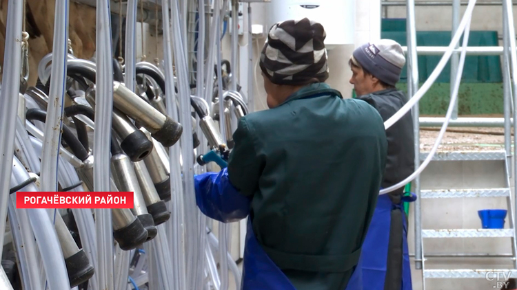 Подобным надоем похвастаться могут только здесь! В хозяйстве «Тихиничи» построили новый МТК-7