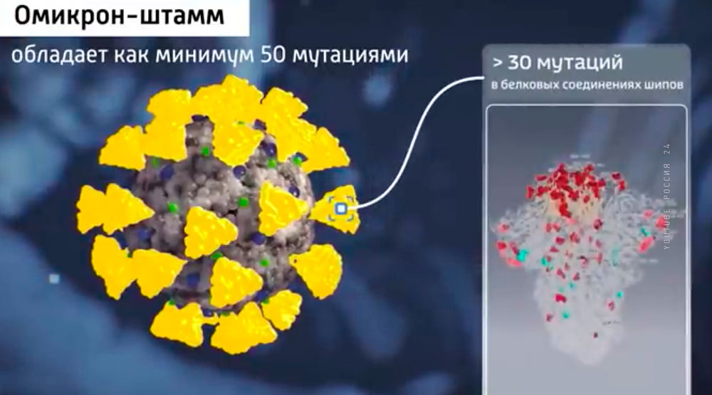 Новый штамм коронавируса омикрон обнаружен уже в 20 странах-1