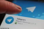 Суд постановил заблокировать мессенджер Telegram в России