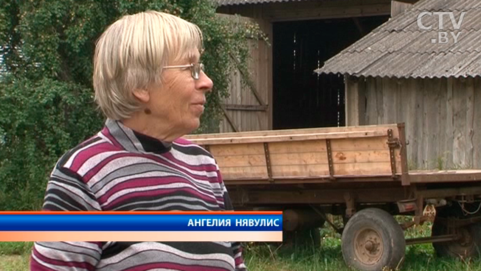 Репортаж из Литвы. Как выращивают хлеб в потомственной семье фермеров-12