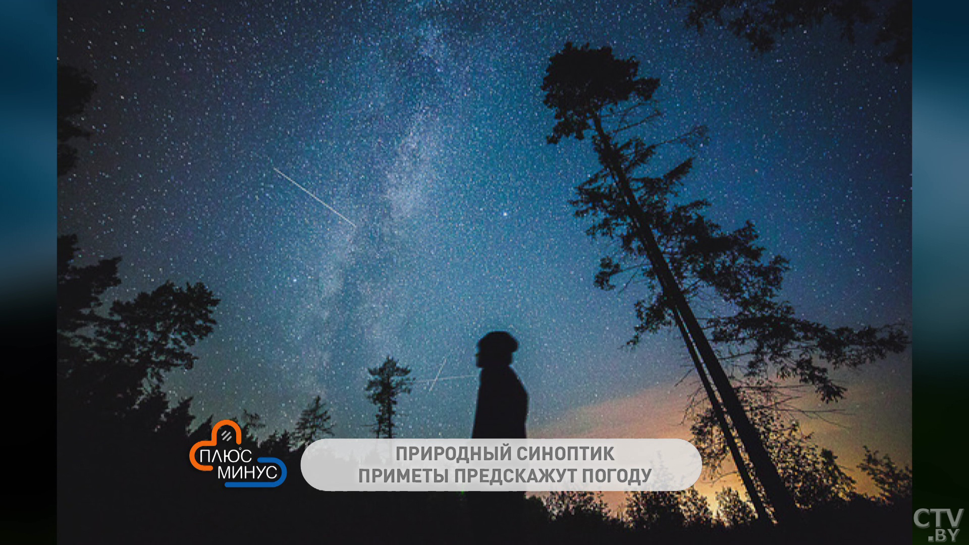 Когда нужно выполоть сорняки, чтобы они больше не выросли? Рассказываем о приметах середины июня -4
