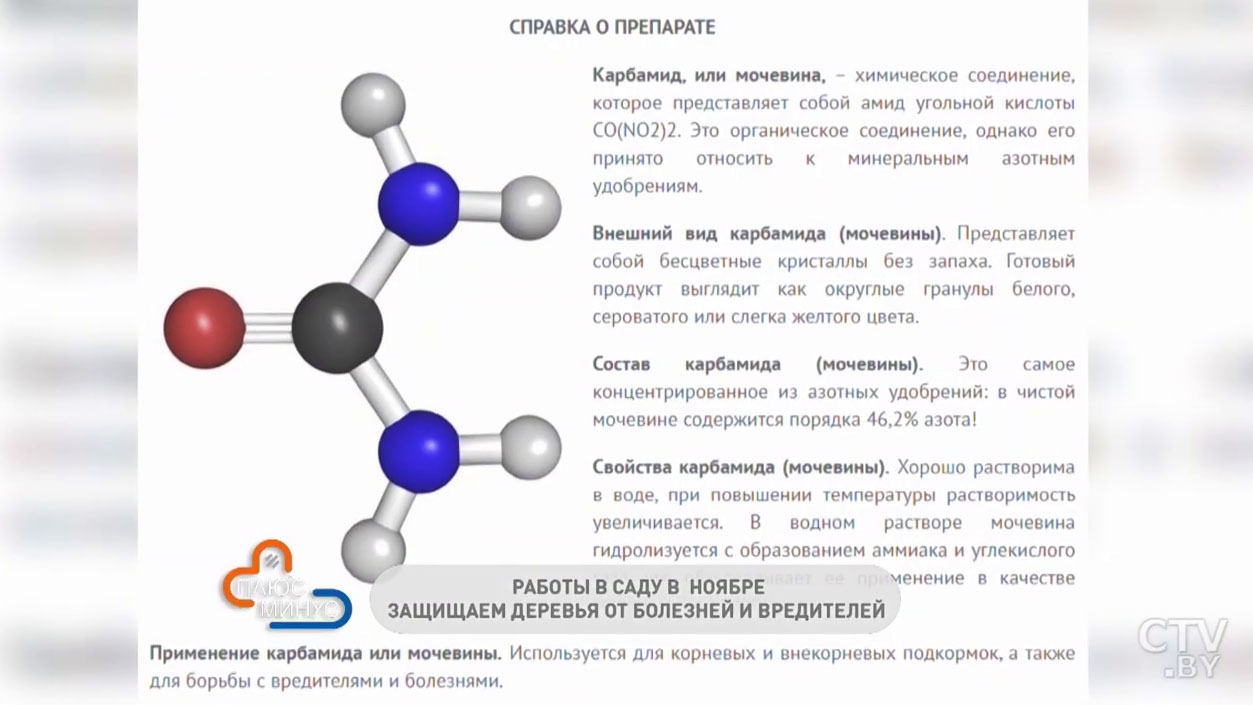 Как провести искореняющие обработки деревьев? Несколько способов, как защитить свой сад от болезней-4