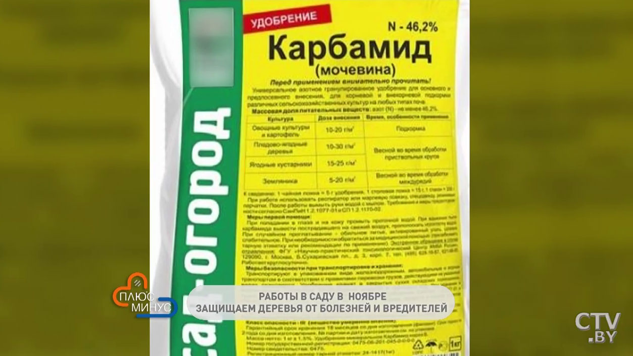 Как провести искореняющие обработки деревьев? Несколько способов, как защитить свой сад от болезней-7