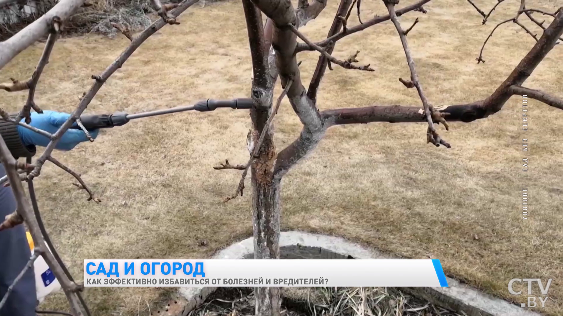 Начинается рассеивание вредоносных заболеваний. Чем и когда обрабатывать растения, чтобы был хороший урожай? -7