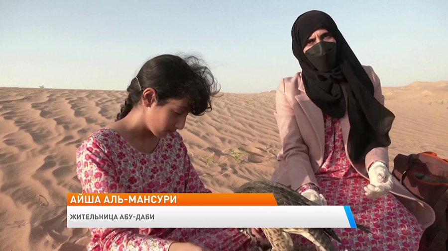 Жительница Абу-Даби обучает соколиной охоте. Вот почему она выбрала такое занятие-4