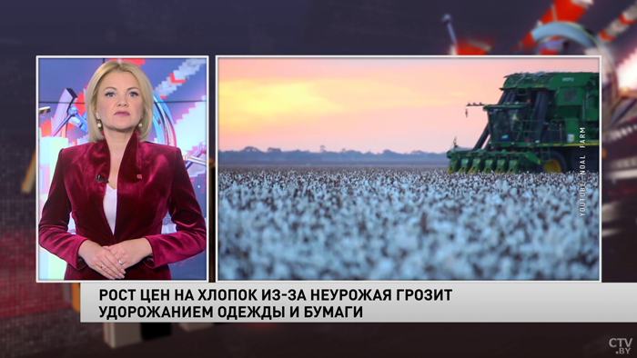 Одежда и бумага могут подорожать, потому что из-за жары и засухи растёт цена на хлопок-1