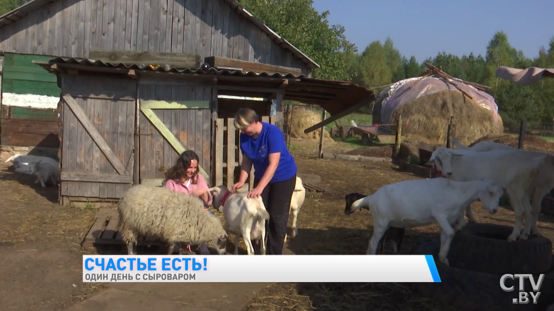 «Сулугуни с тмином, чесноком и морковью». Белоруска рассказывает, как делает сыры из козьего молока  -40