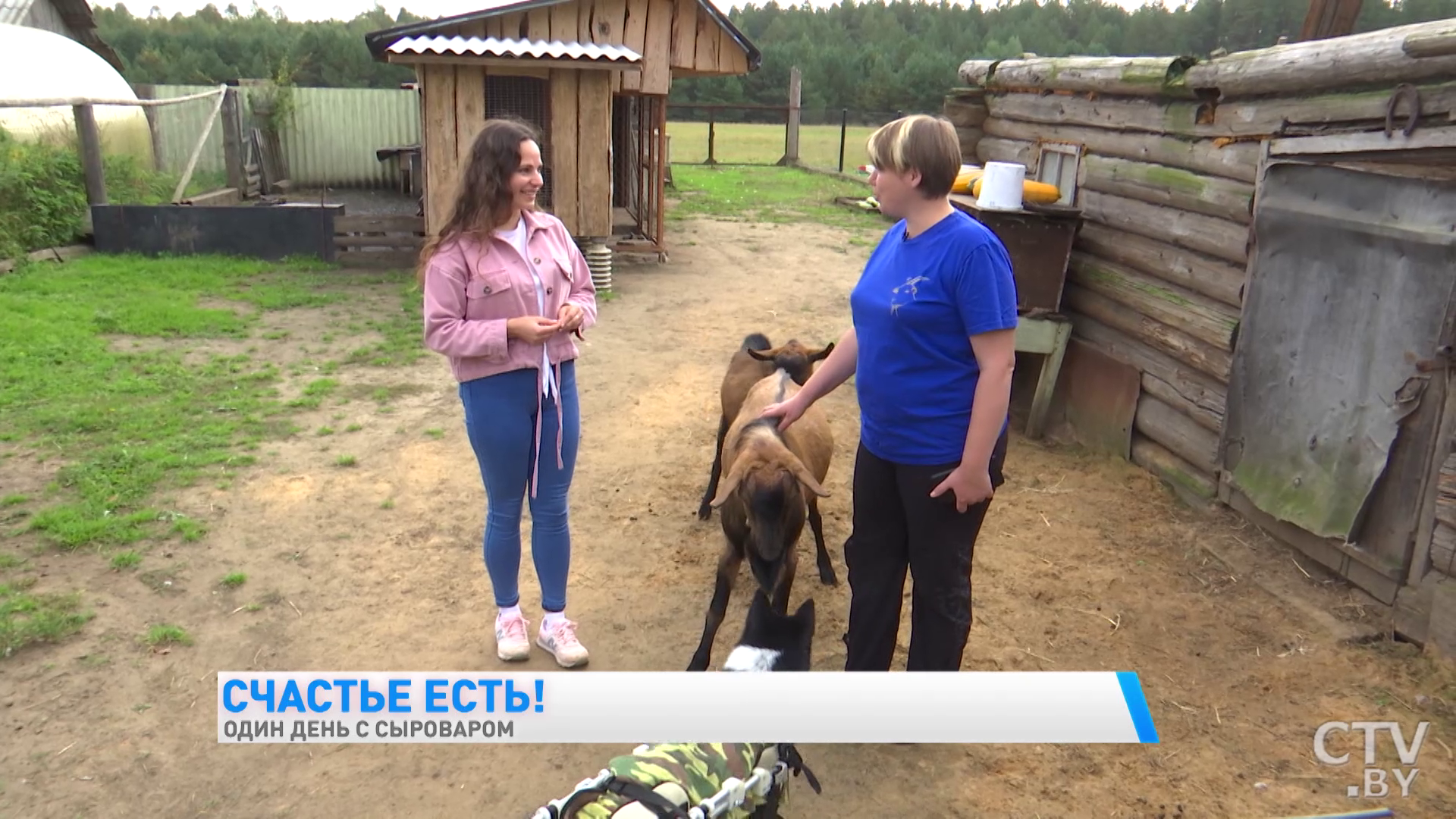 «Сулугуни с тмином, чесноком и морковью». Белоруска рассказывает, как делает сыры из козьего молока  -43