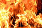 167 телят спасены на пожаре в Ляховичском районе