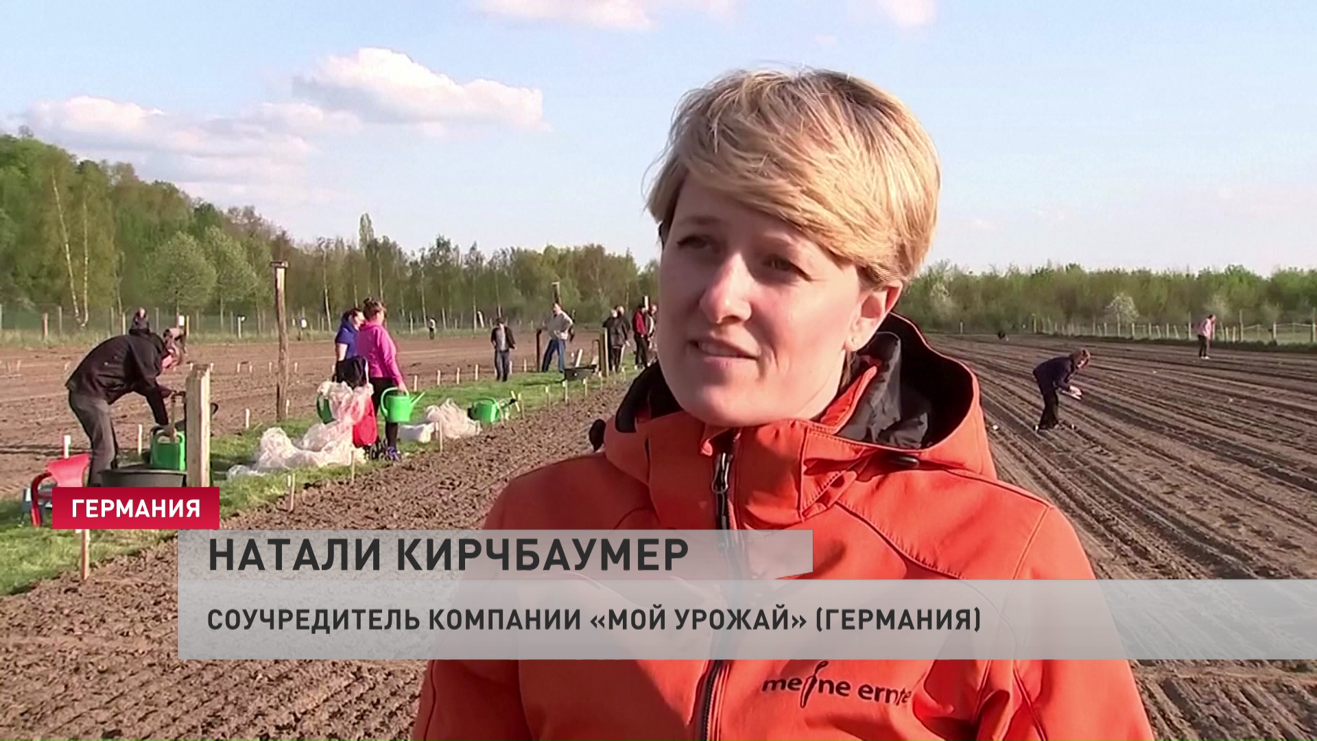 «Еда дорожает, и её становится всё меньше». Немцы чуть ли не поголовно берутся за огородничество-1