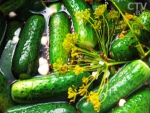 Как вкусно и просто приготовить малосольные огурчики?