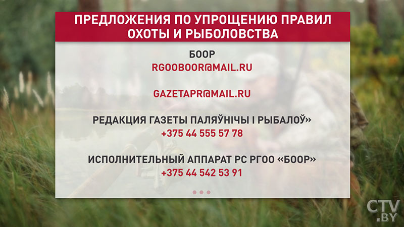 В Беларуси упростят правила охоты и рыболовства. Куда направить свои пожелания?-1