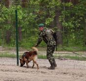 Они охраняют госграницу страны. Рассказываем о работе белорусских пограничников