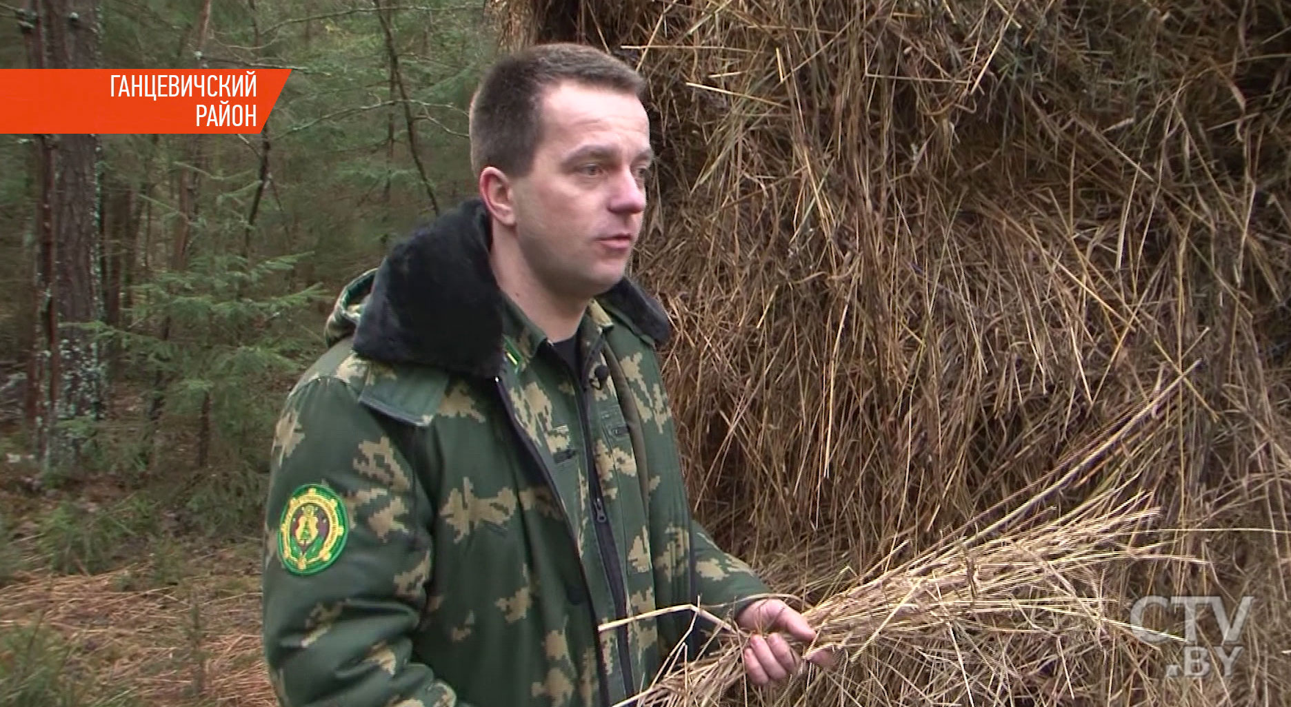 «Они уже полноправные хозяева»: 19 оленей привезли из Литвы в Ганцевичское лесничество-7