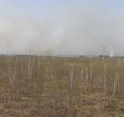 Пожар на Ольманских болотах потушен