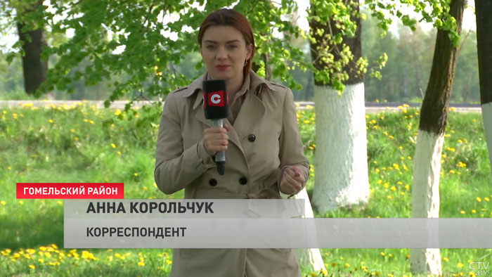 Он прошёл Великую Отечественную и войну в Японии. Ветерану из Гомельской области исполнилось 100 лет-7