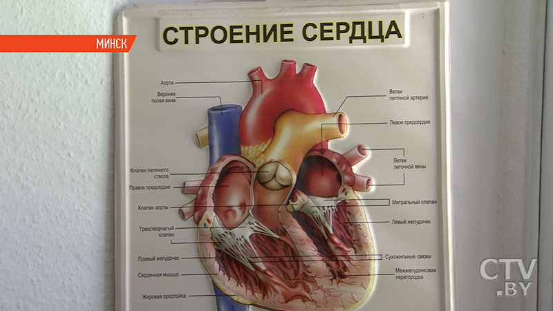 В Беларуси впервые провели уникальную операцию по замене клапана лёгочной артерии-9