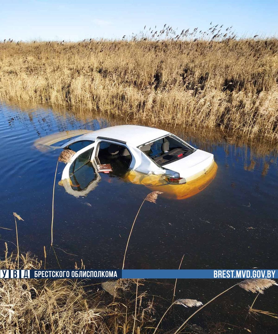В Ивацевичском районе Renault съехал в мелиоративный канал. Водитель выбрался сам-1
