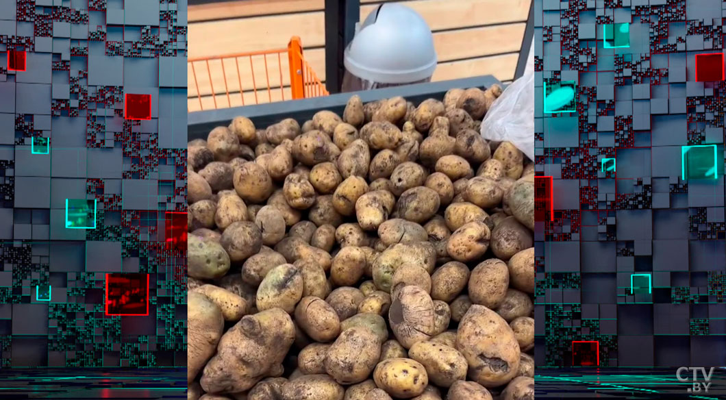 Бульба-рейд по магазинам! В Беларуси есть запас картошки? Узнали-2