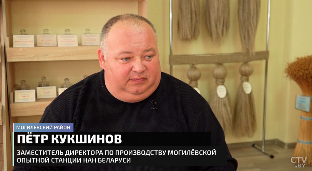 Бульба-рейд по магазинам! В Беларуси есть запас картошки? Узнали-10