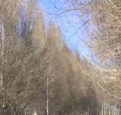 В Беларуси на три дня объявлен оранжевый уровень опасности 