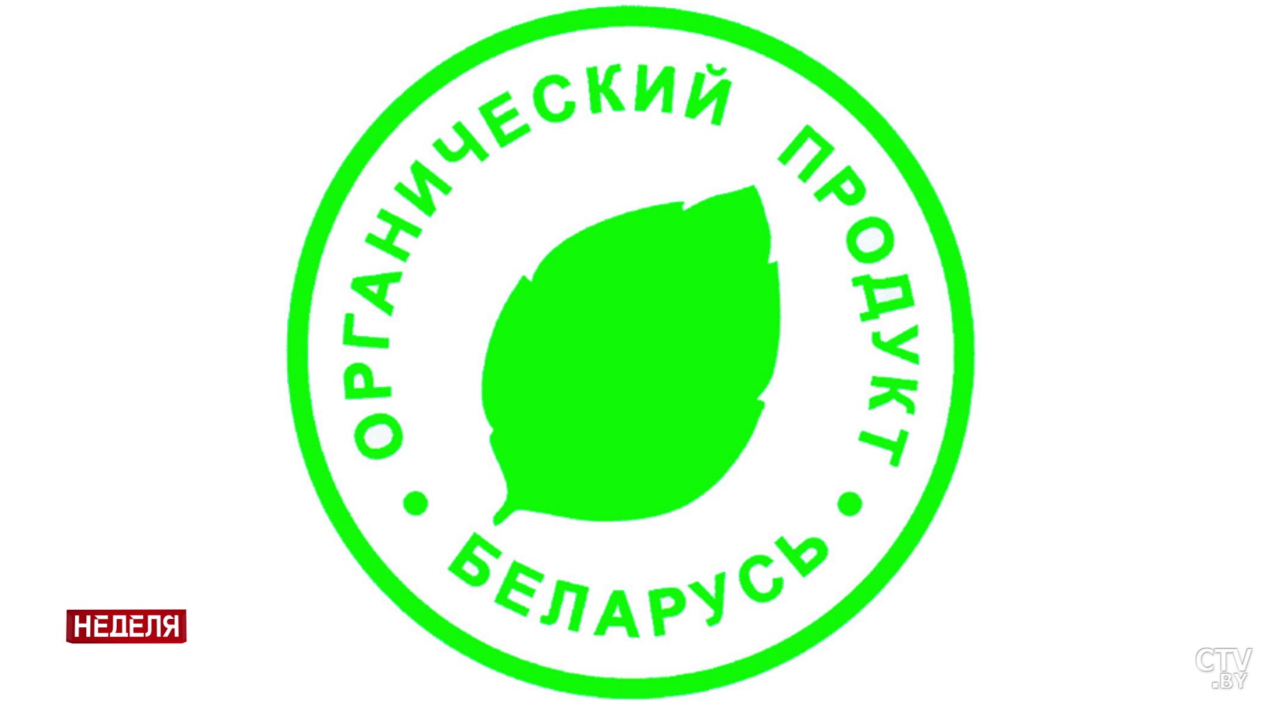 Агротренд «без химии». Почему в белорусских торговых сетях так сложно найти продукцию со статусом «органика»? -31