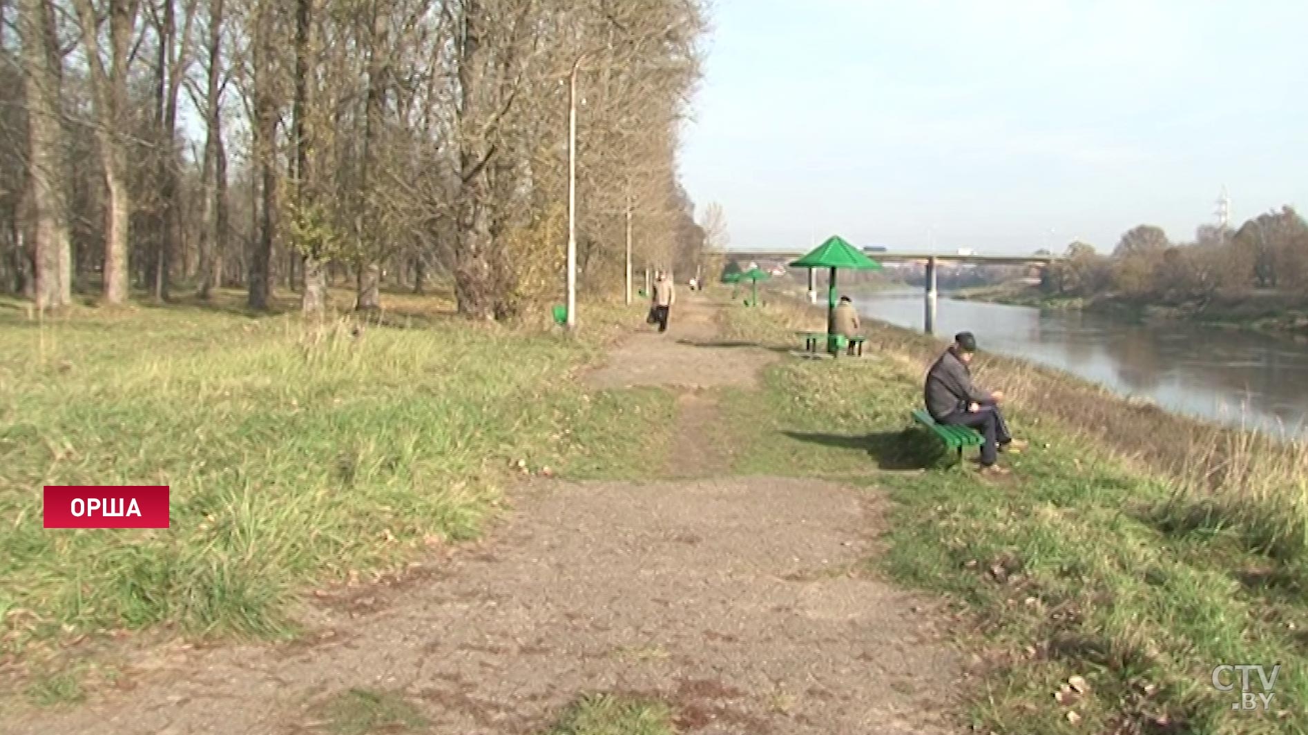 Разбитые дорожки, аварийные деревья и ни одного фонаря. В Орше парк отдыха превращается в лес-37