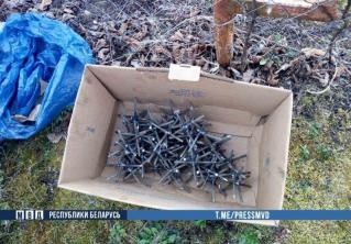 В Полоцке братья хранили дома и на даче оружейный арсенал 