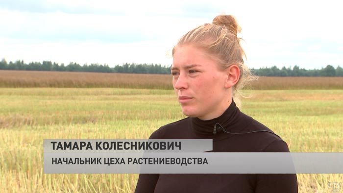 В чём особенность уборки подсолнухов и как из семечек отжимают масло? Раскрыли секреты производства-7