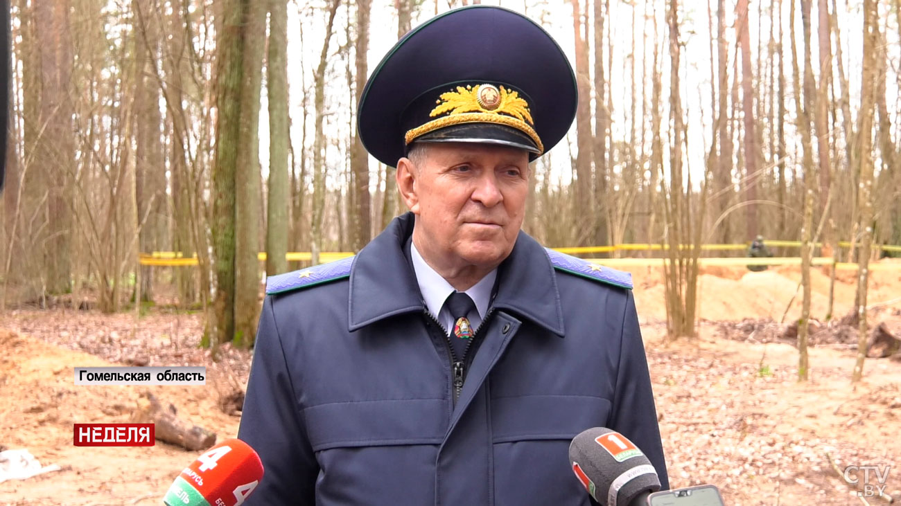Останки не менее 30 человек обнаружили за три дня поисков в Ченковском лесу под Гомелем-4