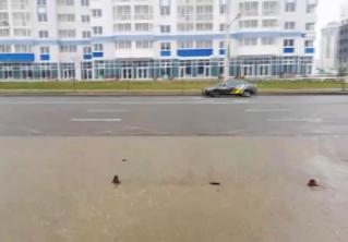 В Минске сильный ветер повредил остановку 
