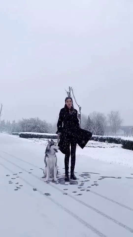 Девушка хотела показать красивую походку, но всех рассмешила. Вредный пёс испортил видео -1