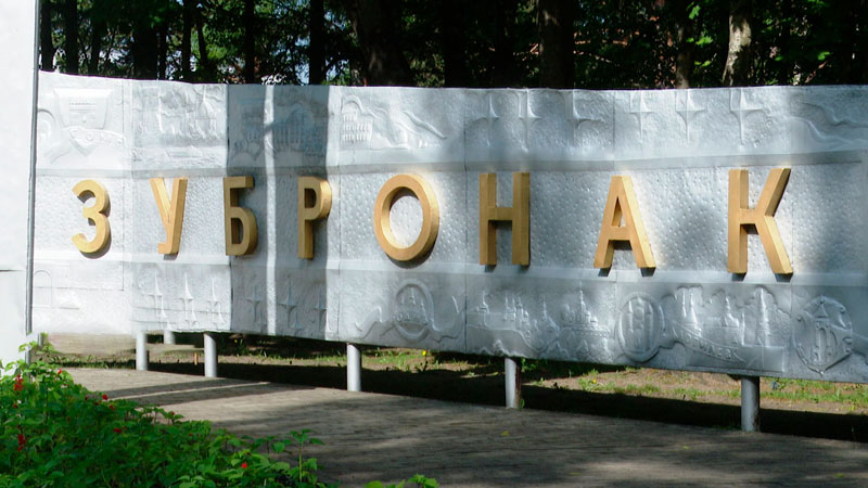 Беларусь организует отдых для более чем 400 детей из дружественных стран