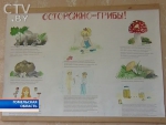 В Гомеле из-за отравления грибами умер пенсионер