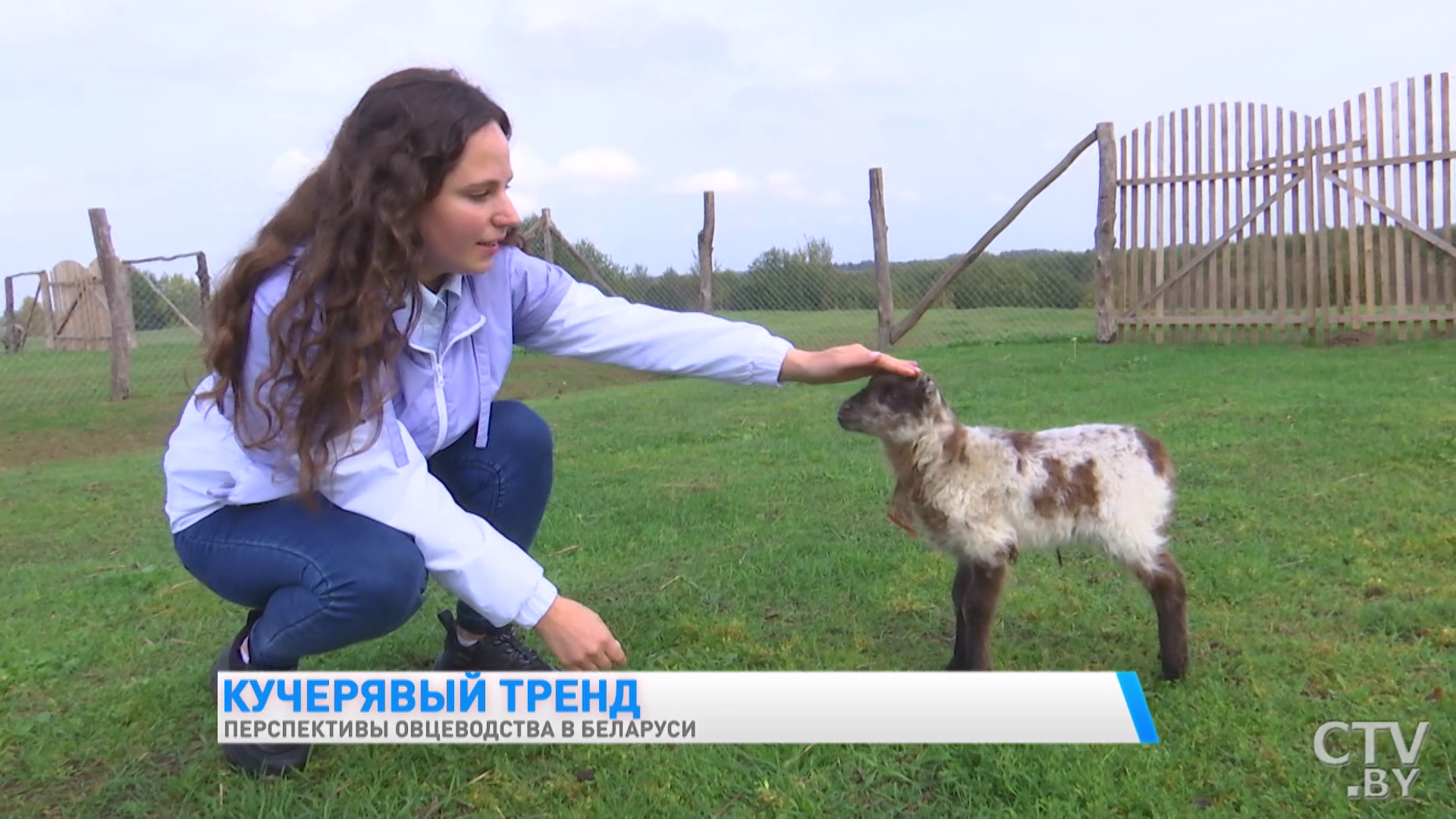 Они и управленцы, и ветеринары, и парикмахеры, и агрономы одновременно. Как выращивают овец в одной белорусской глубинке-28