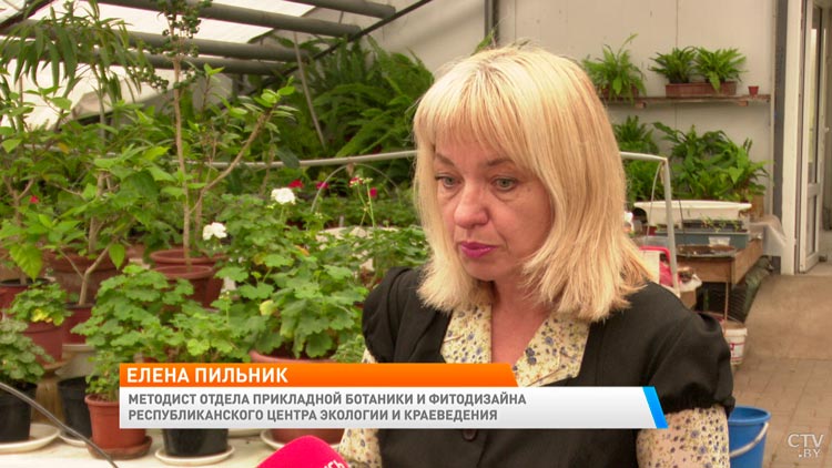 Как правильно хранить овощи и фрукты? Рассказываем секреты-1
