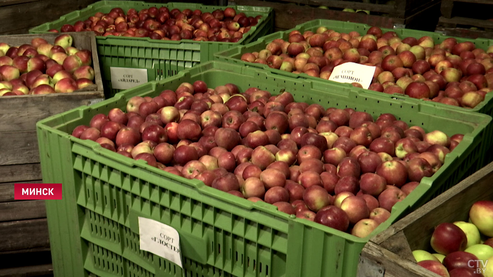 «На драники, бабка наша любимая, потушить». Какую продукцию заготавливают стабфонды для белорусов?-23