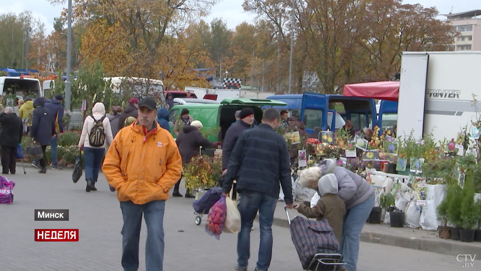 Витаминный запас белорусов. Сколько тонн овощей и фруктов заготовят в стабфонд страны?-29