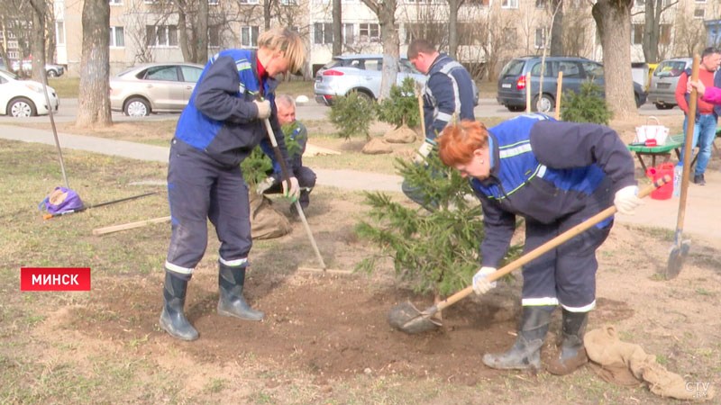 Единый день озеленения проходит в Беларуси-1