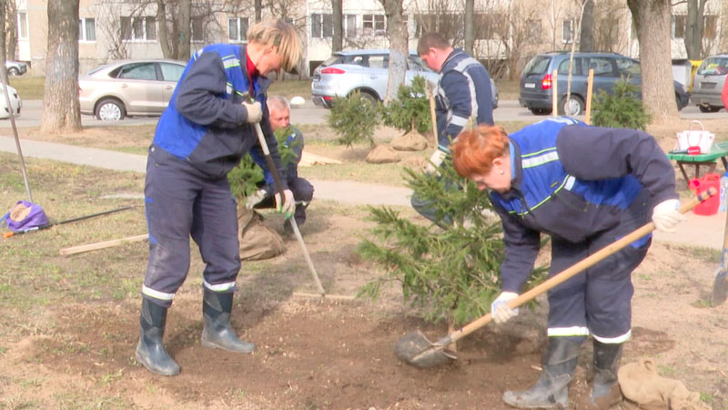 Единый день озеленения проходит в Беларуси