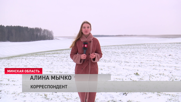 «С хлебом останемся!» Повлияет ли резкая смена погоды на будущий урожай?-1