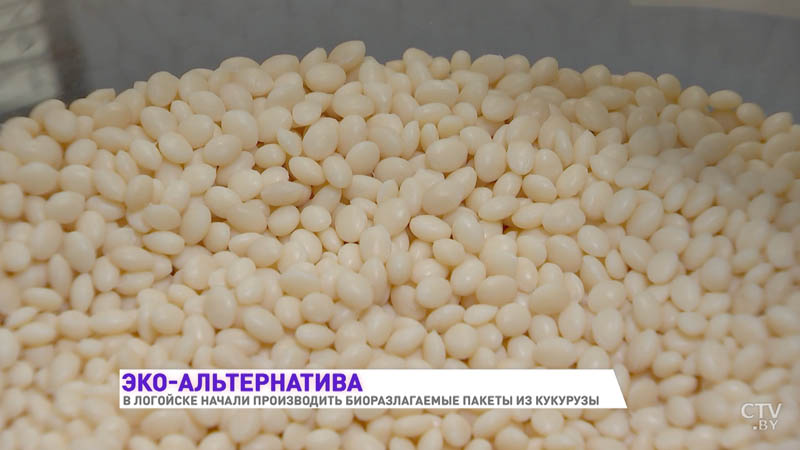 «В природе они разлагаются в течение года» В Логойске делают пакеты из кукурузы-1