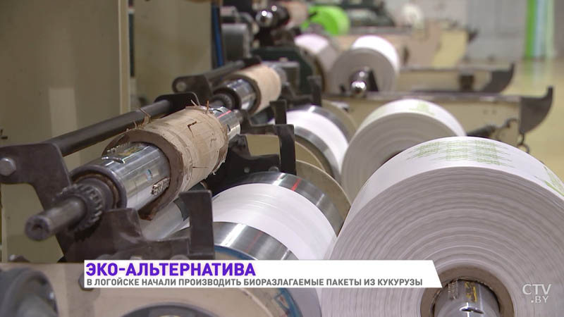 «В природе они разлагаются в течение года» В Логойске делают пакеты из кукурузы-7