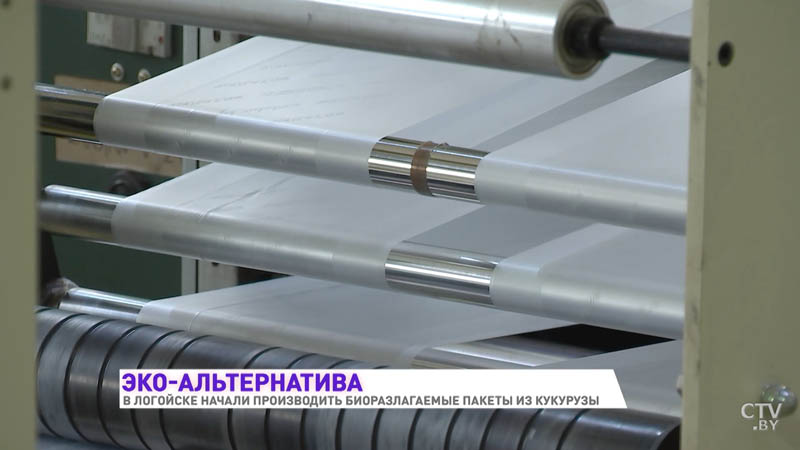 «В природе они разлагаются в течение года» В Логойске делают пакеты из кукурузы-19