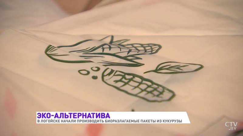 «В природе они разлагаются в течение года» В Логойске делают пакеты из кукурузы-25