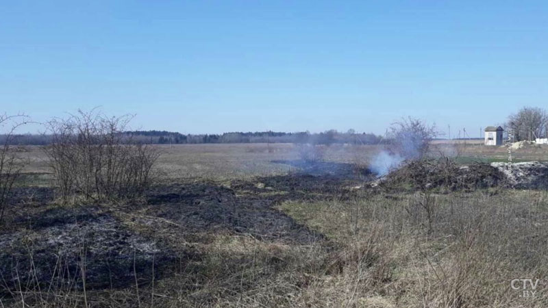 Мужчина пытался потушить горящую одежду. В Столбцовском районе от пала травы возник пожар-1