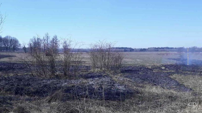 Мужчина пытался потушить горящую одежду. В Столбцовском районе от пала травы возник пожар-4