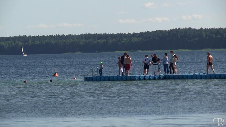 Экобезопасность в Беларуси: депутаты приняли законопроект об охране окружающей среды-1