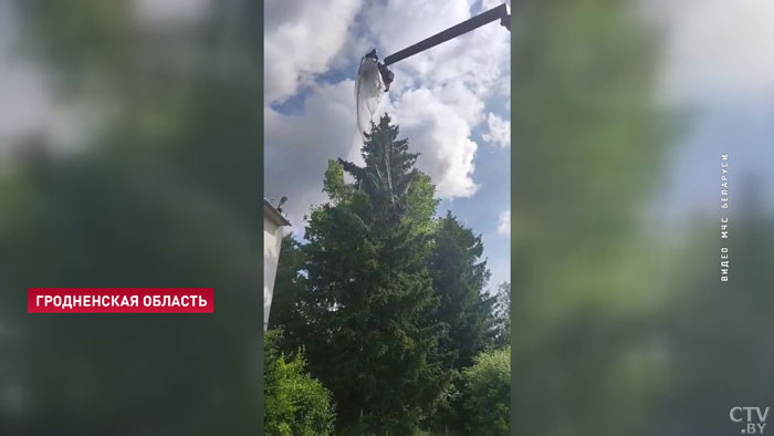 В пригороде Гродно парашютистка во время прыжка зацепилась за дерево-1