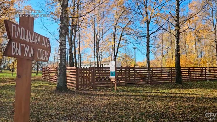 Беличья тропа, игровые площадки и спортивный городок. Вот как изменился Севастопольский парк в Минске-7